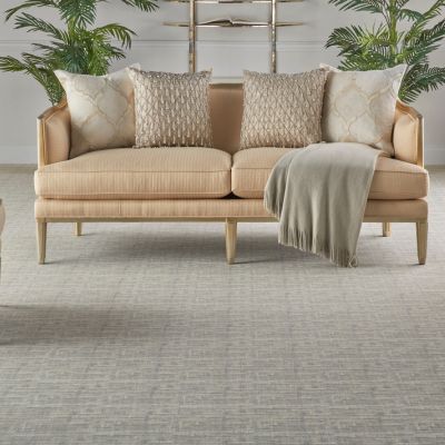 grey patterned carpets in an elegant San Diego living room with couch and plants